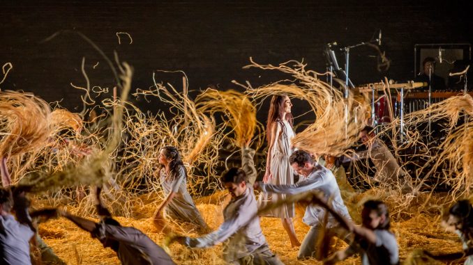 Midsummer 2_Photo by Cheryl Mann